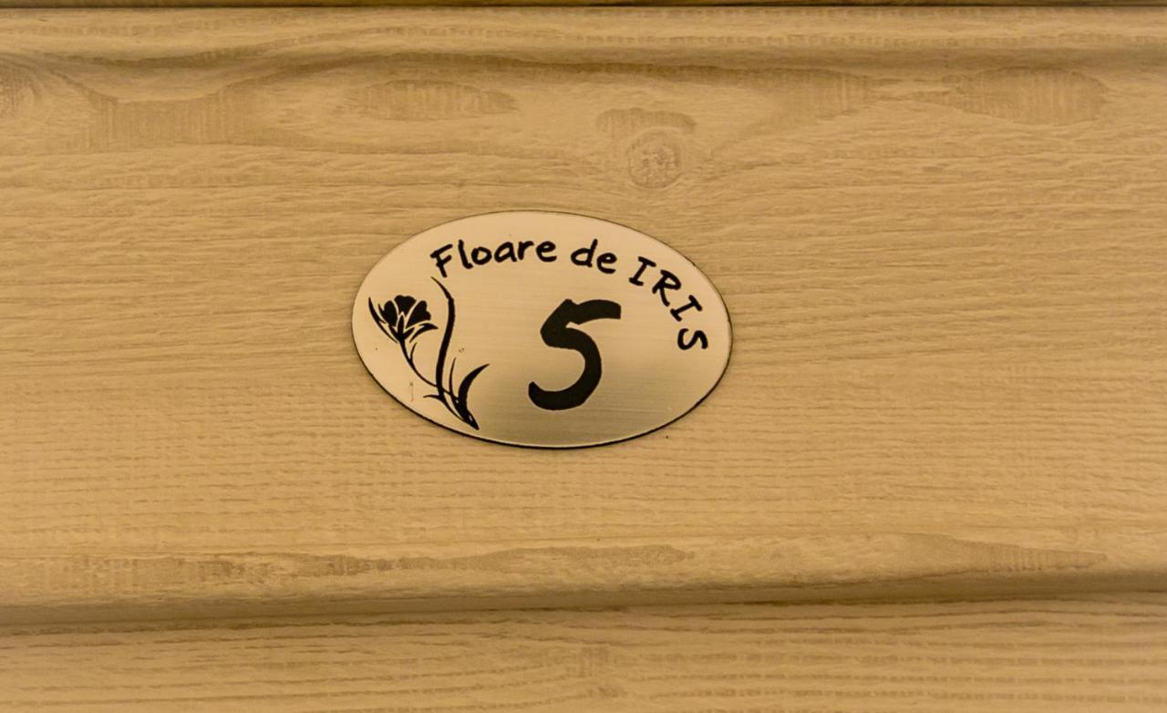 Floare De Iris 호텔 바마베체 외부 사진